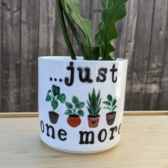 Ceramic Plant Pot - Can Be Customized